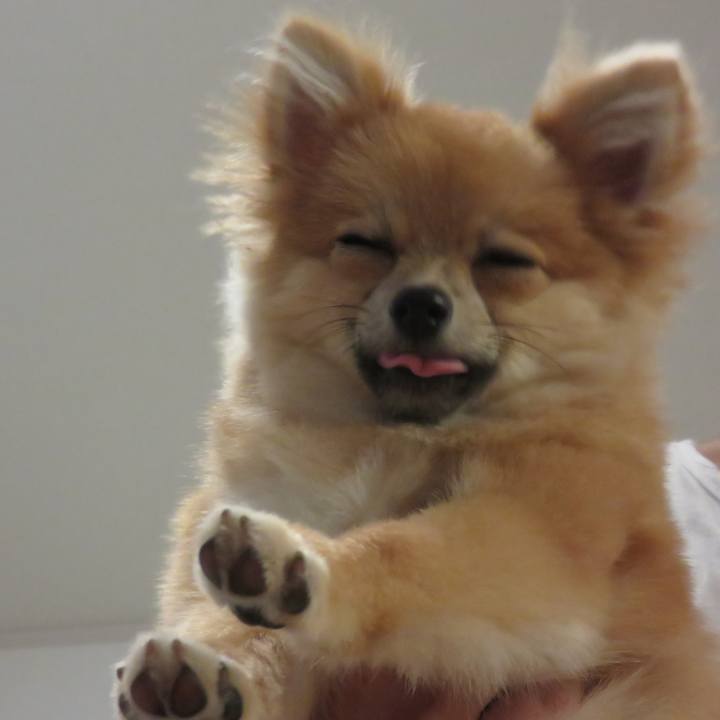 B45137e0 468a 4ed5 bf74 e29461c6810c