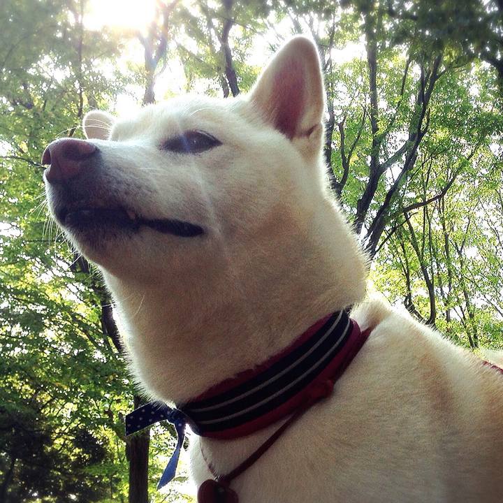 B451b03f a2ed 40c8 8370 d399a48bf0ec