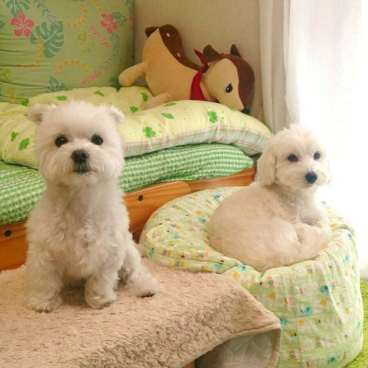 B451bc2f 134c 4b78 95c4 487df5c61d48