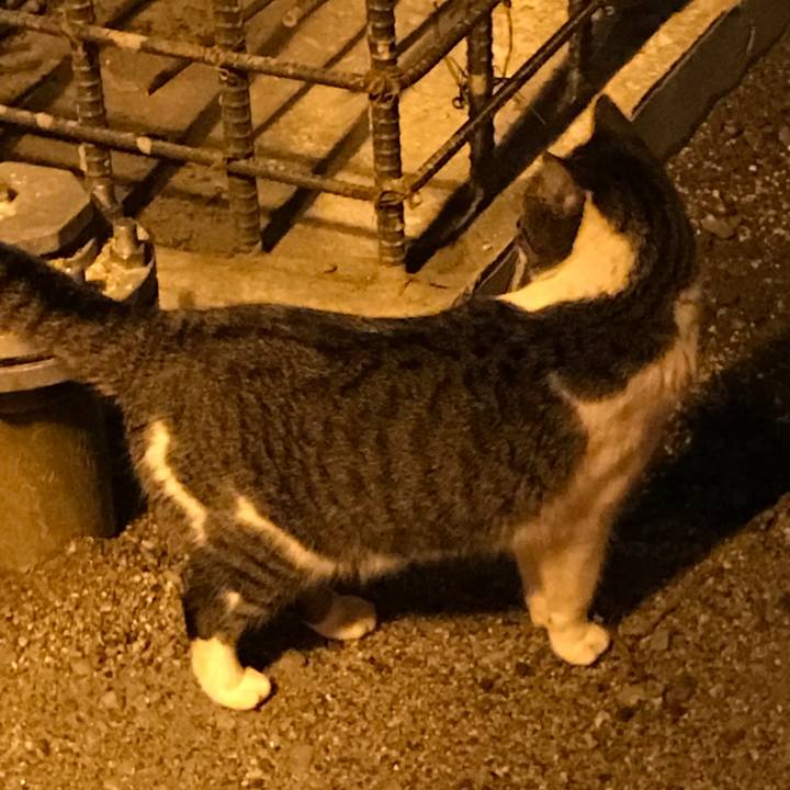 B451c880 6254 4a39 81b9 375346e76de8