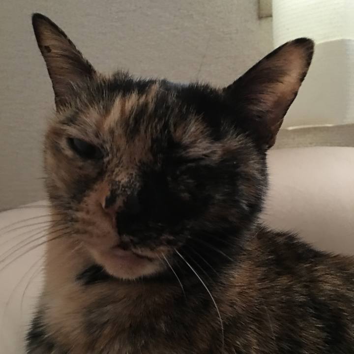 B451fffb bb5f 457c a41b 9d8f15670ccf