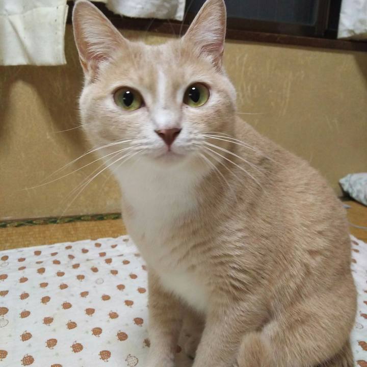 B4522bc0 7248 436f 8848 4f31d8562f26