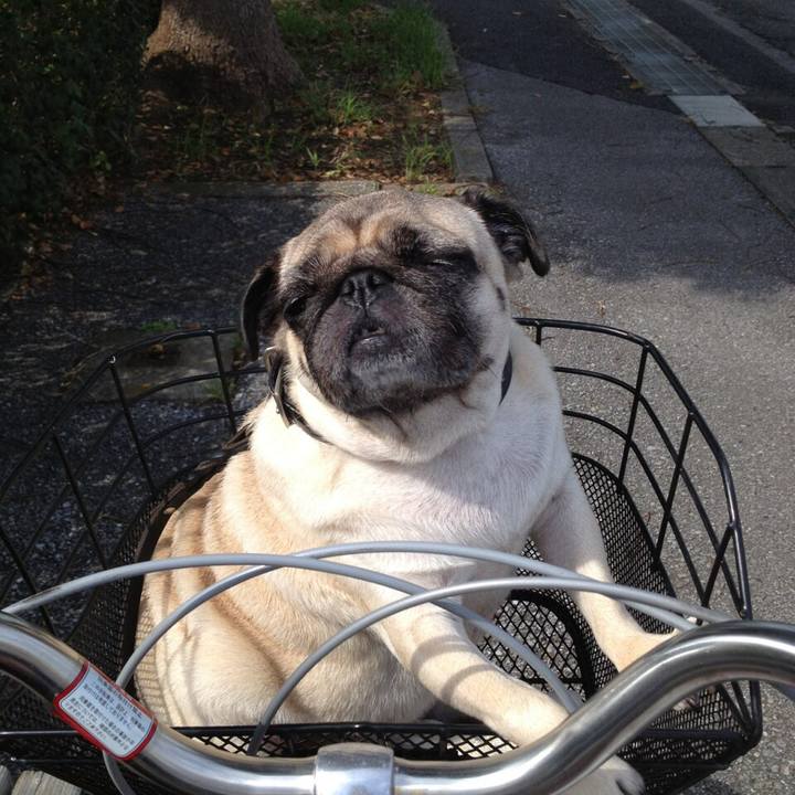 B452b75d 9753 4cdf 9afd 8f8c3785b74e