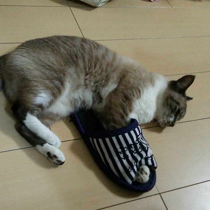 B45307b7 7b25 4708 8678 0a380ccce39c