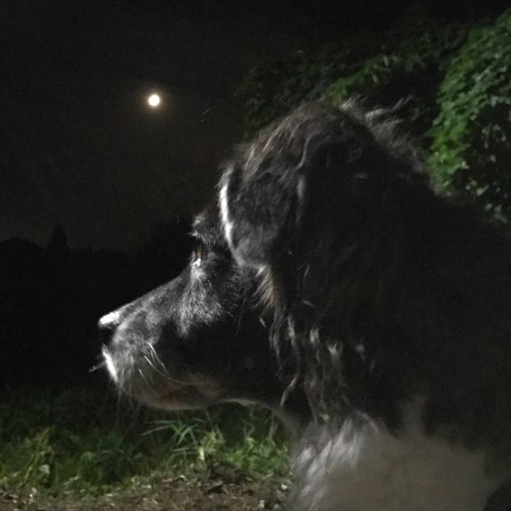 B4544f76 9e5e 4b71 b1a1 8775edac2c54