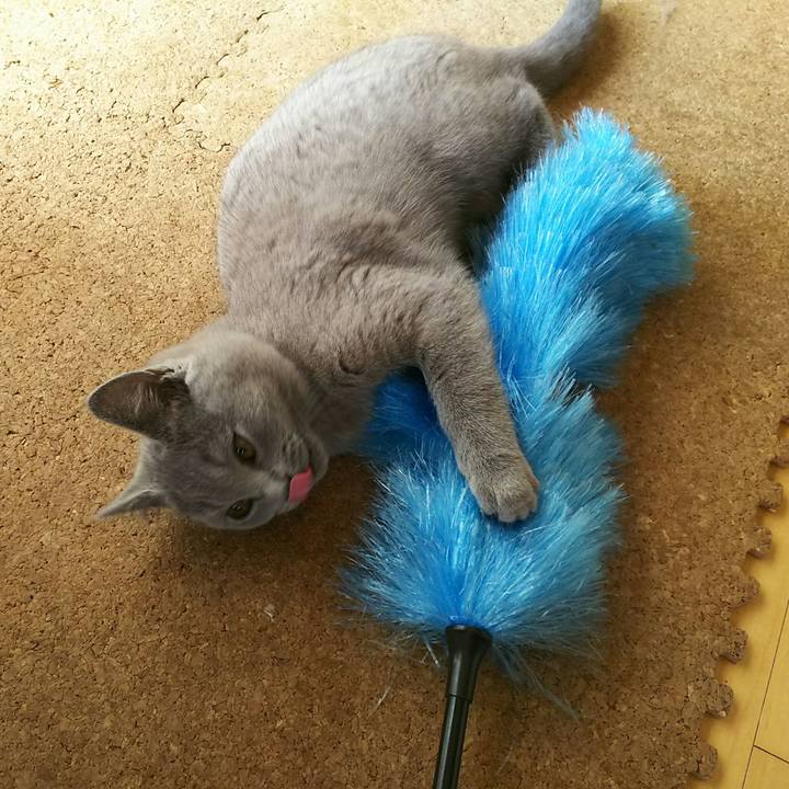 B4546be9 442c 4c6f 99e6 87aa4506a425