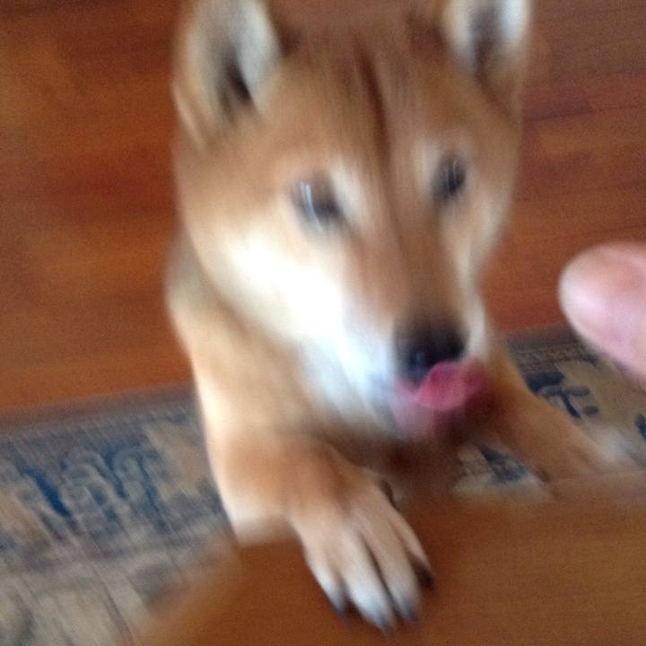 B4548d17 607e 4667 b682 0faf4c039305