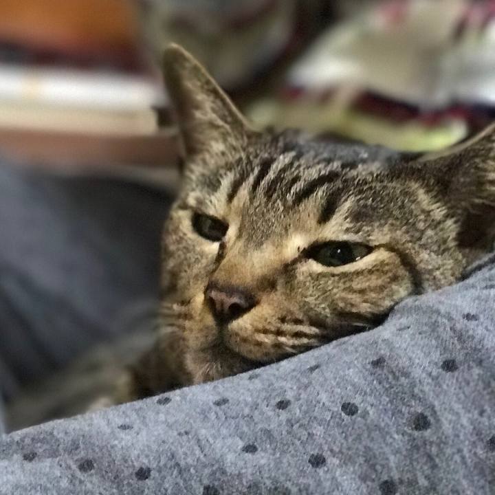 B45502c0 29ab 4998 930c 0aa9b23f30c0