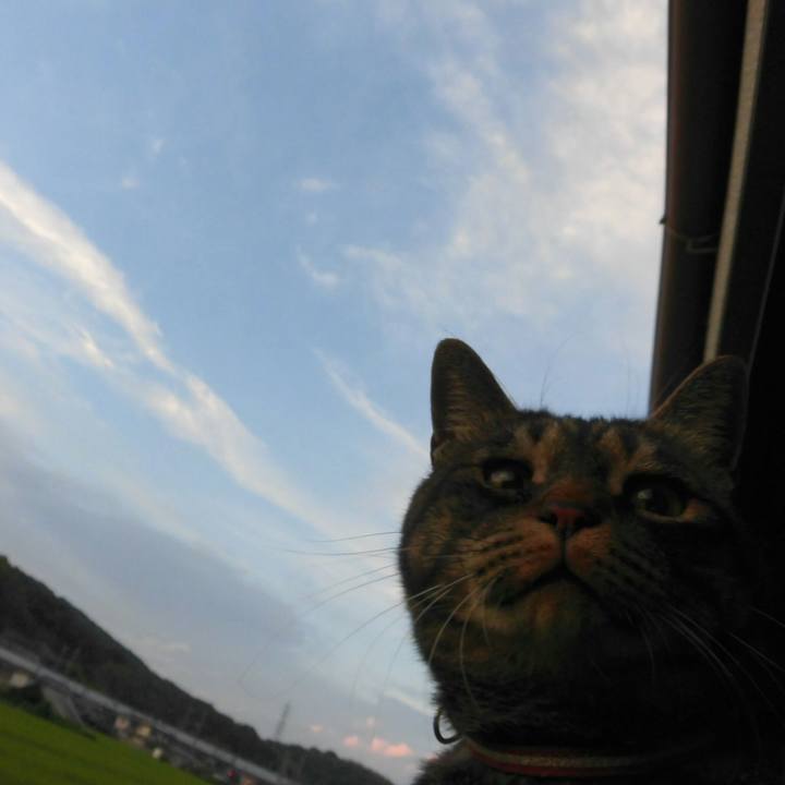 B45653f3 7c6e 4651 86a3 368fa9afd4e0