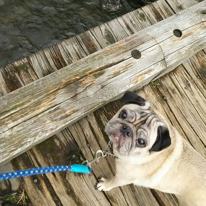 B45695f6 6b98 4afc 8125 8d35c19e6ccf