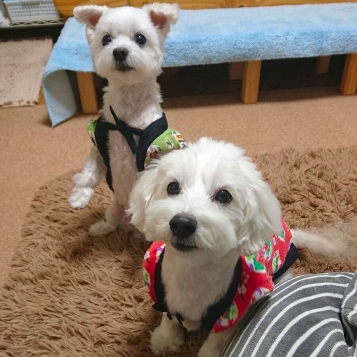 B456d9d4 0319 4937 b12f fa161635ef49