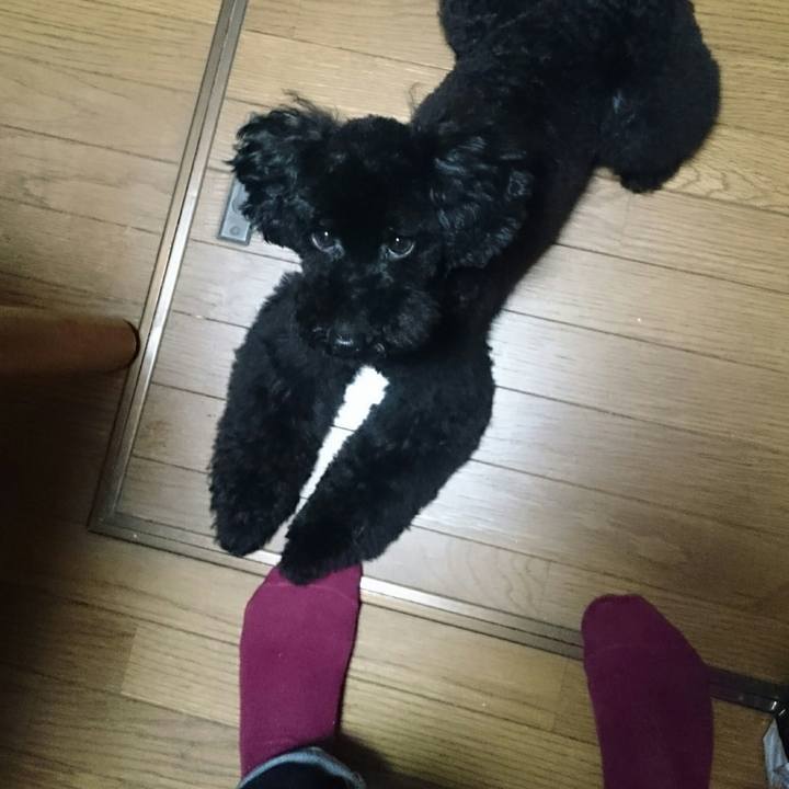 B456e497 af7a 4d1d 8835 1a42b6528464