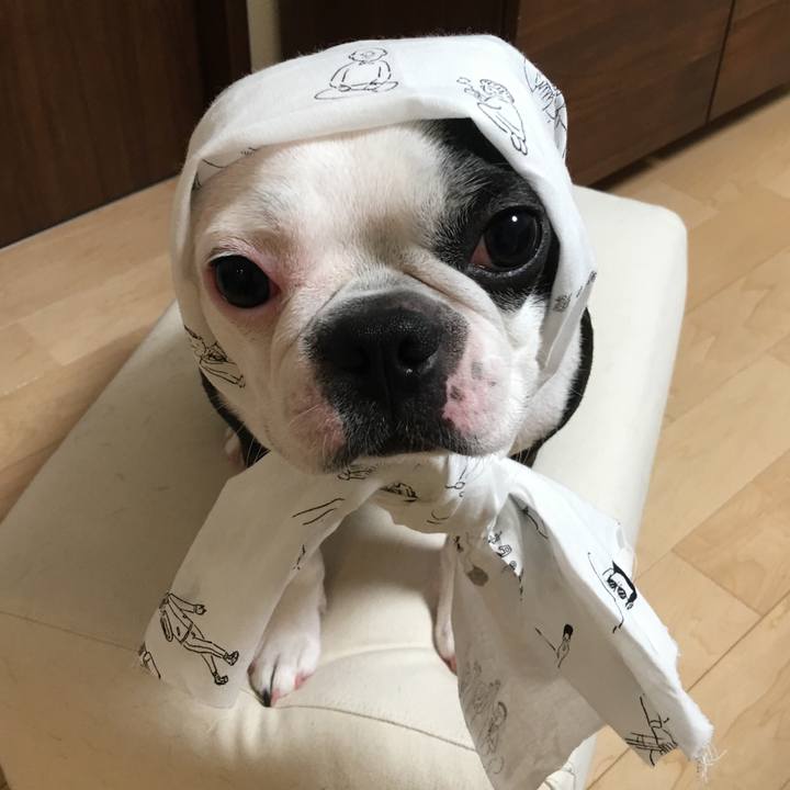 B4579270 fd27 4fa1 9d8c b58a3bd5464d