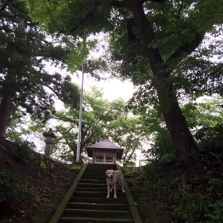 B458196e eb7b 43c8 be91 cbdc78cffd61