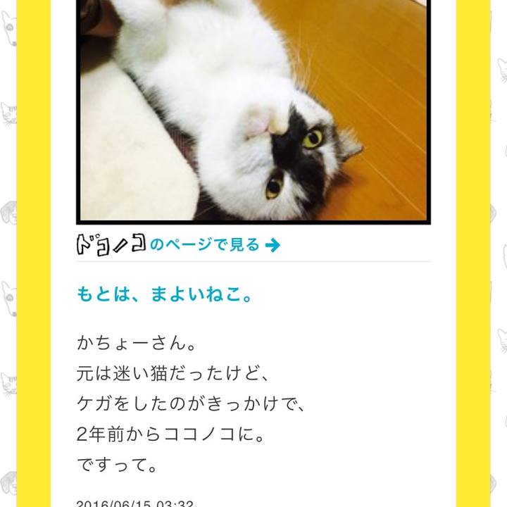 B45833dd abd7 4d00 9931 9d06d69a92c8