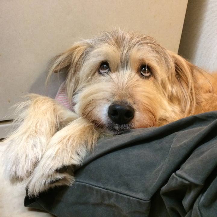 B4583cfd b501 47e1 a97a 016ebde77911