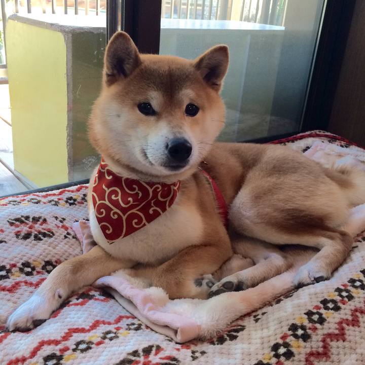 B458529e bcb3 464f 8b41 813b772cbd79