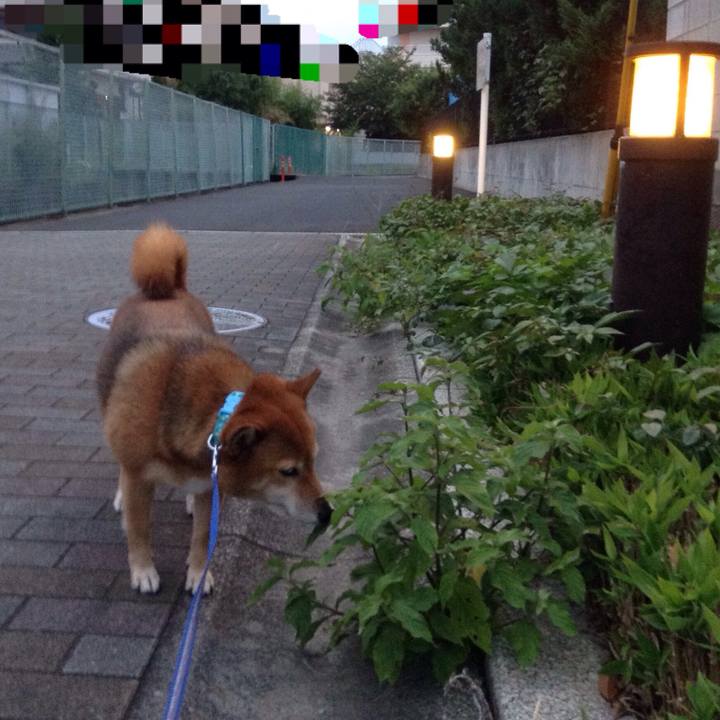 B458998a 3a13 46f9 bc50 3838959a8292