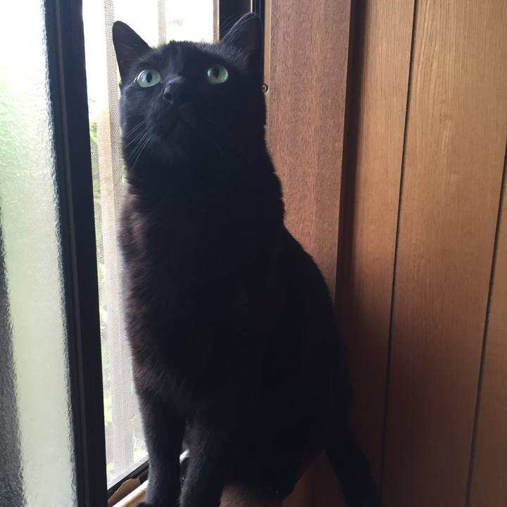 B458ec4c be20 4ae0 aa48 8d1caa945494