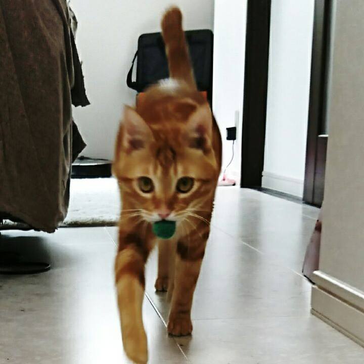 B459a7e0 1d35 4e5d a880 4cfea33d304f