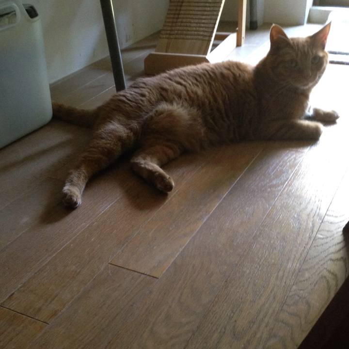 B45a58bc ab91 44be b3cd 0af93bec95ba