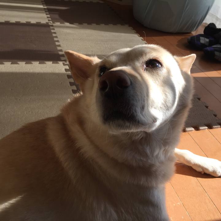 B45a5e29 b96f 4e56 a30f 779fc07f35d0