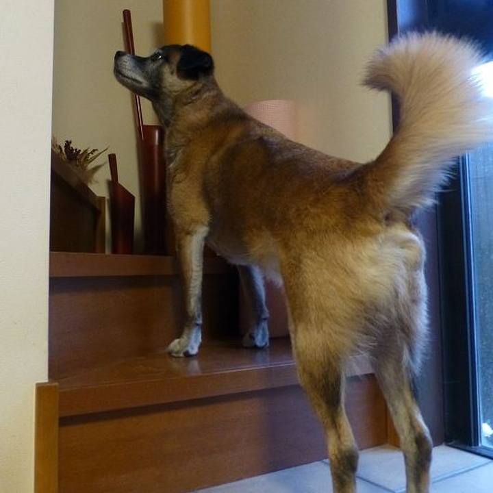 B45a6d1f 4561 48a0 a577 09d2a40f1073