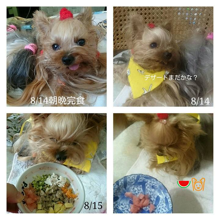 B45b4ebd 7b1f 40cf 8259 0a8b2ddfa527