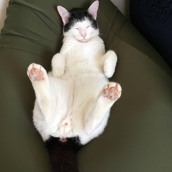 B45c1e11 a32c 4717 a0f0 e1abbdbabe3d