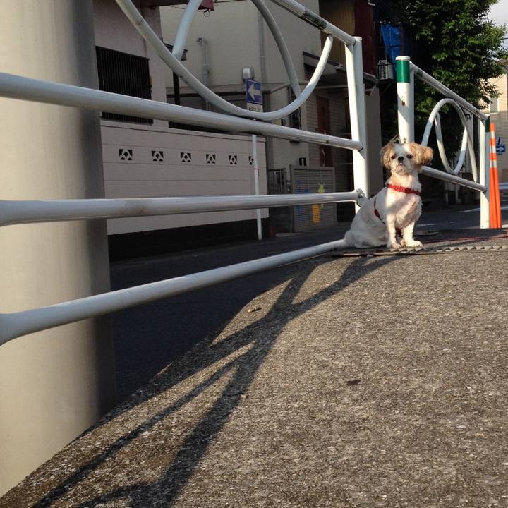 B45c8c06 c39a 49f4 a896 1b8005fee268