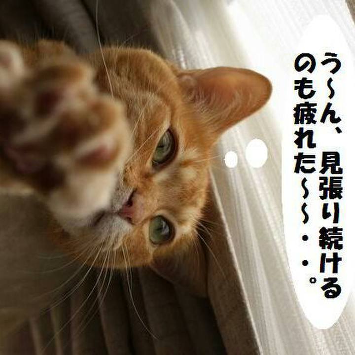 B45d5bde 24f0 4bb3 a712 41af53e7785f