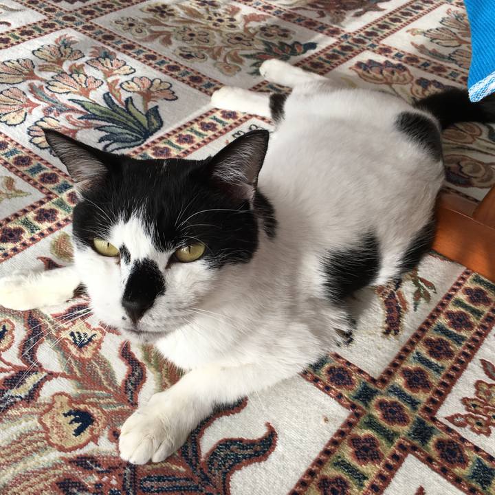 B45d8560 0f34 41c9 a014 384bd1995778