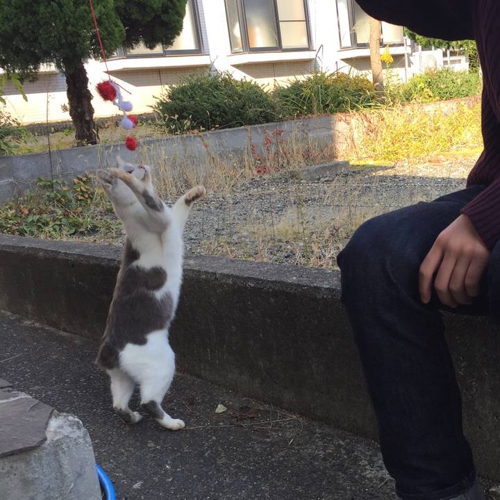 B45d9366 c299 4822 a414 80af98530756