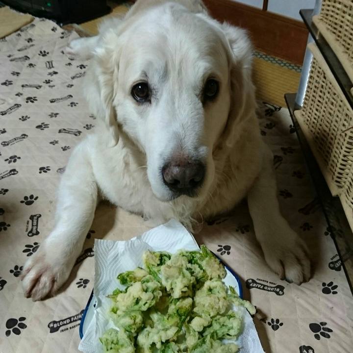 B45d9dda d1d5 41ad acb1 fa170385b61b