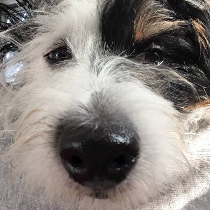 B45dd7a9 aa6c 4e34 9b93 615bb86965ae