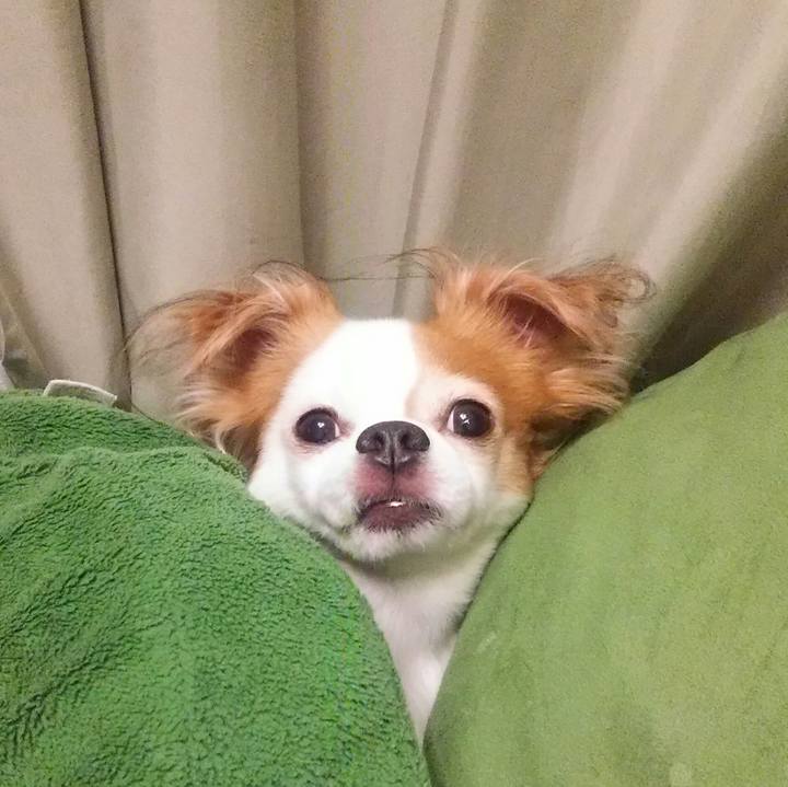 B45e9c25 ec39 4e09 bdc3 812e9d74106a