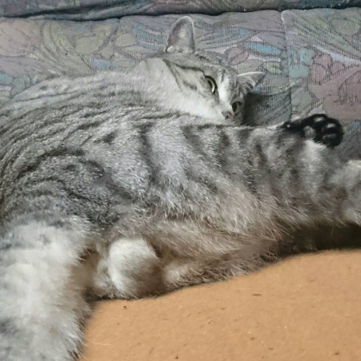 B45ec28e e3fe 45c1 984a d5de5e222aa6