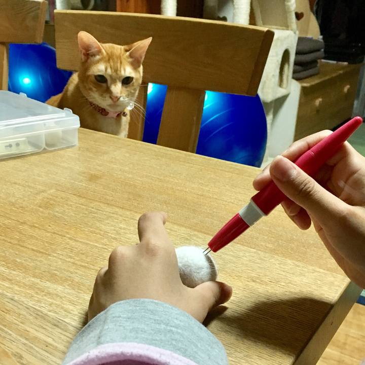 B45ef98e 6166 4b21 8133 4e5e89ea58e1