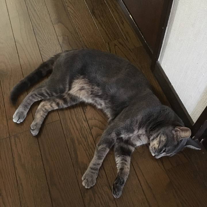 B45fdb98 d98d 414e 865f f0b300985816