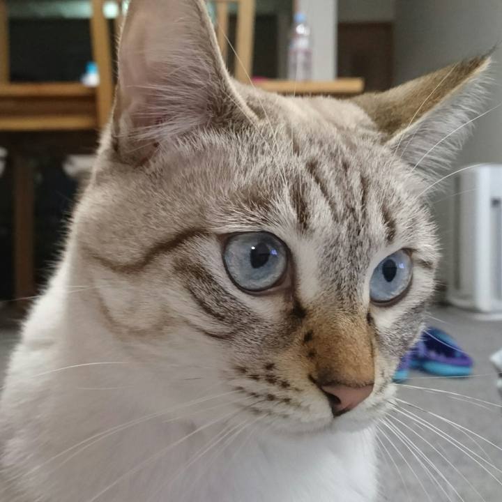 B46004b8 8fb7 4e78 a7a8 5e0b594beb62