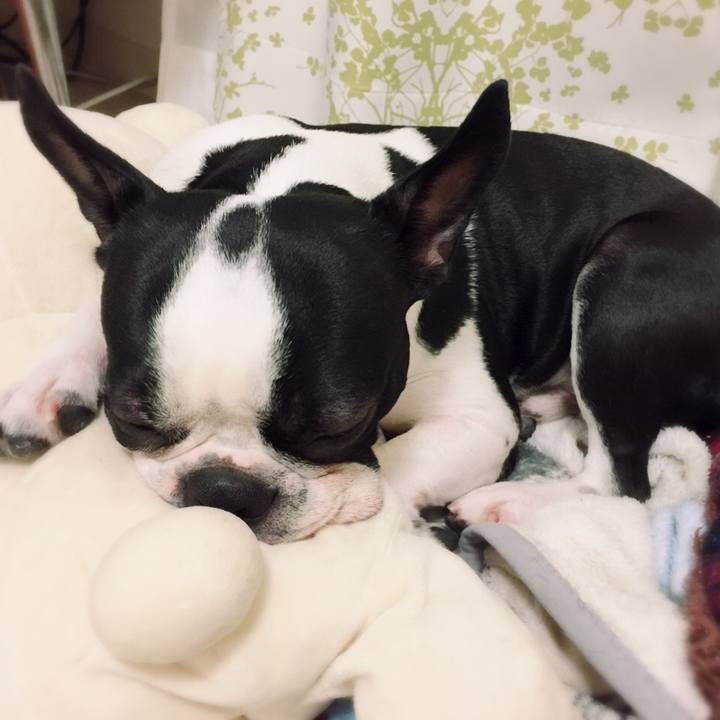 B460f667 de16 4040 bf7c ef6d7b4cca93