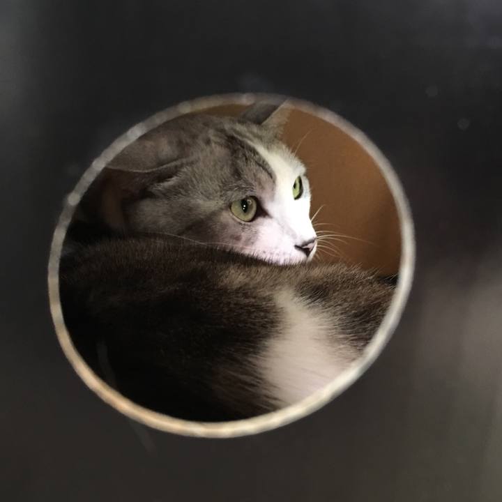 B46181b2 4b42 4185 97bd 627c4aac3c03