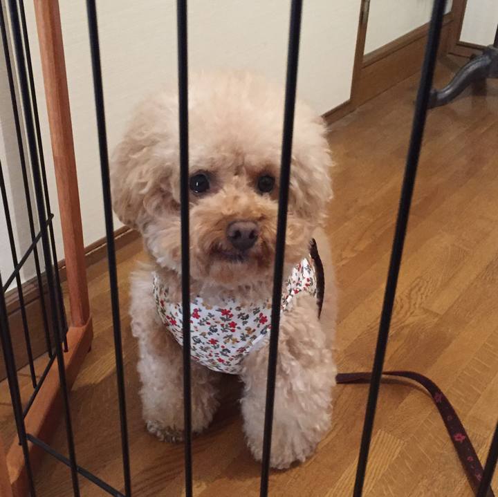 B46181ee 7562 4dde a2c1 b2cc2fa4f901