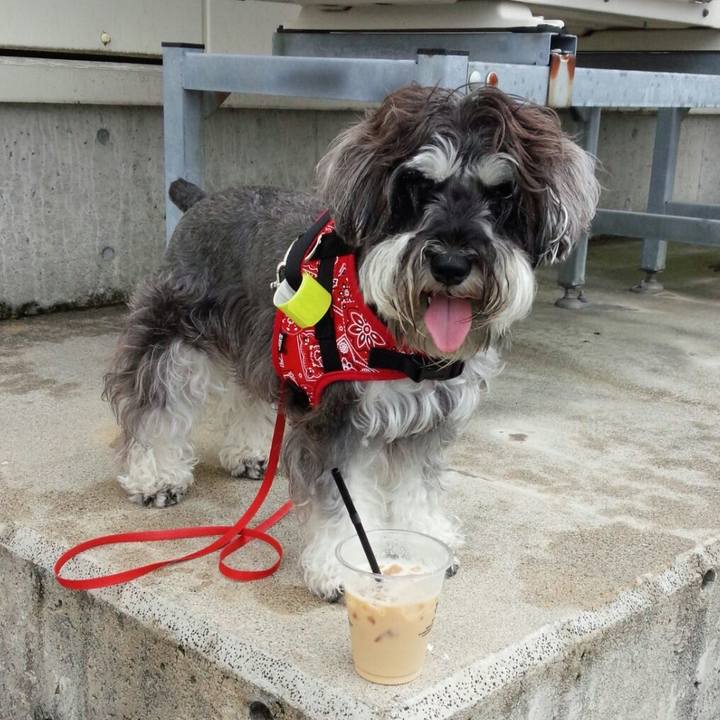 B46187a2 e453 48ac a1a7 6f5bfeb33b9c