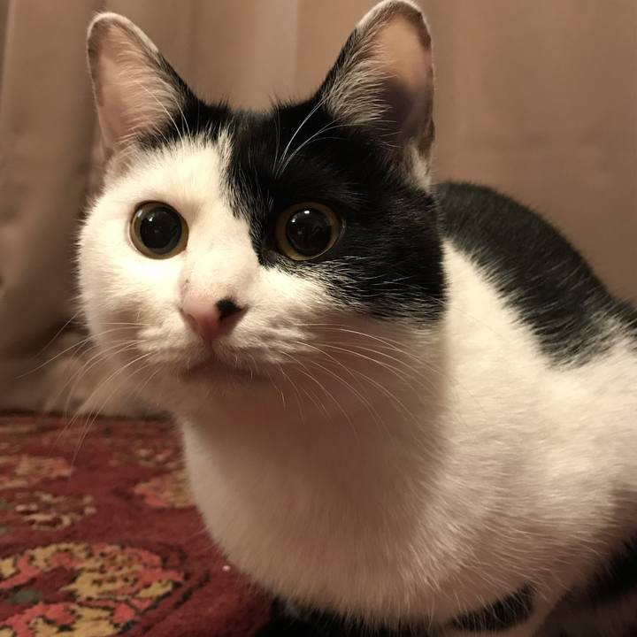 B462115e 9b72 4d17 9f32 a966b11aaee8