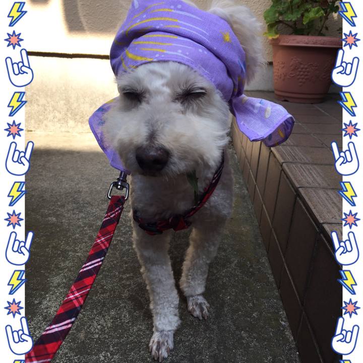 B4627e59 fe68 4511 acc8 0a539111fc9e