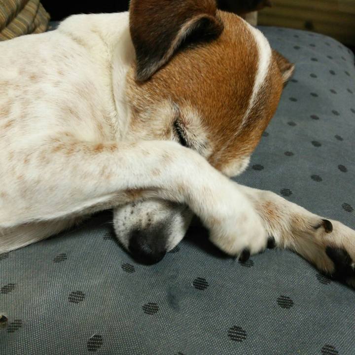 B462d9fa d634 40ee 8d4a 056261bb65ee