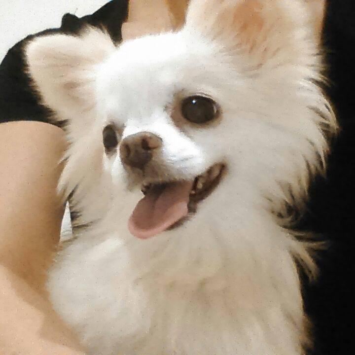 B462f8ff 0172 4f57 996a 9bc6e8084d8b