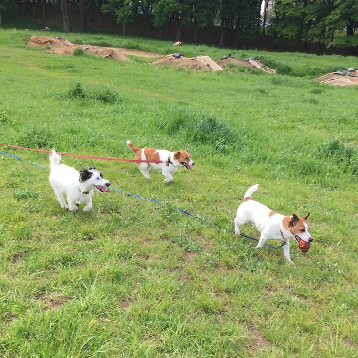 B4637a31 d7ae 4d35 916b 0afa052cc6b8