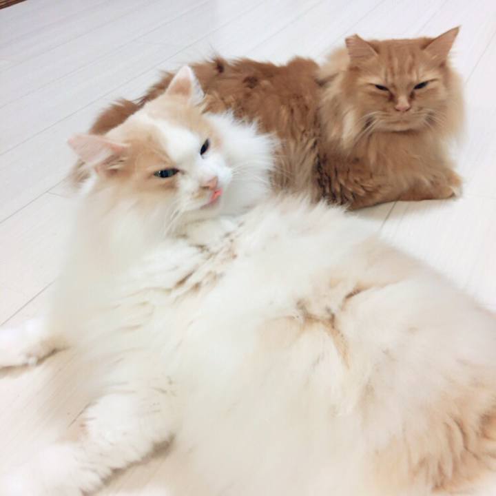 B463cf3d 9ba4 421a 816e 364fc8fc31fb